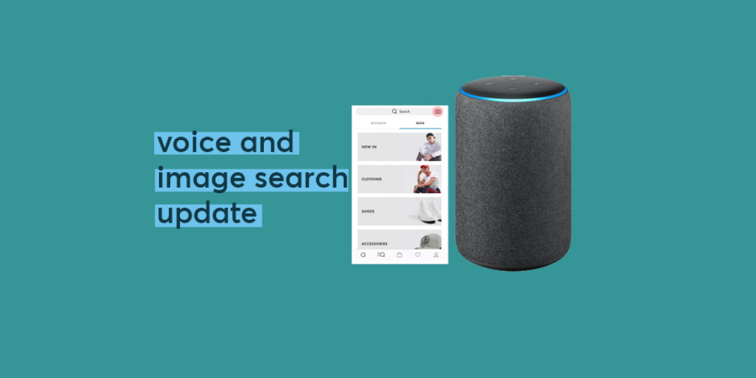 Voice and visual search